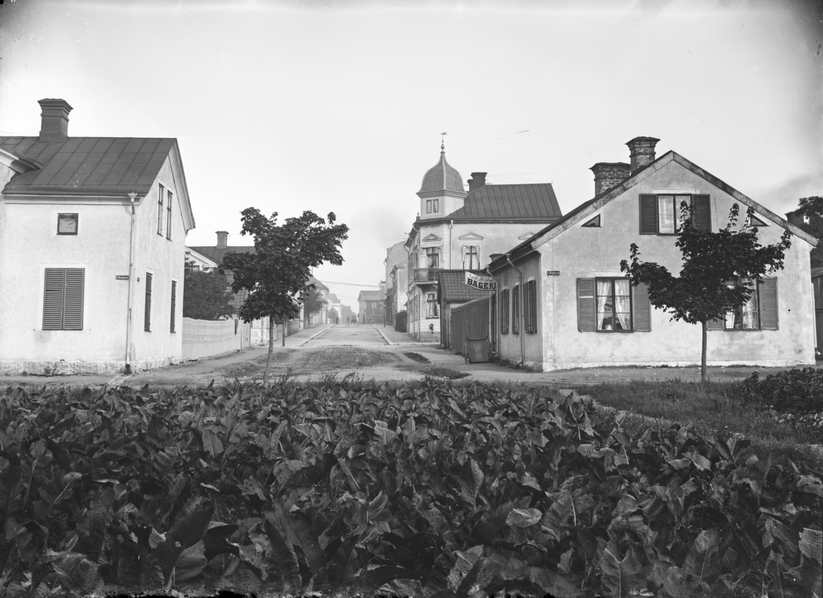 Torggatan, Enköping, vy från sydöst och Östra Ringgatan, 1907. Huset med tornet kallades i folkmun för Bondkyrkan.