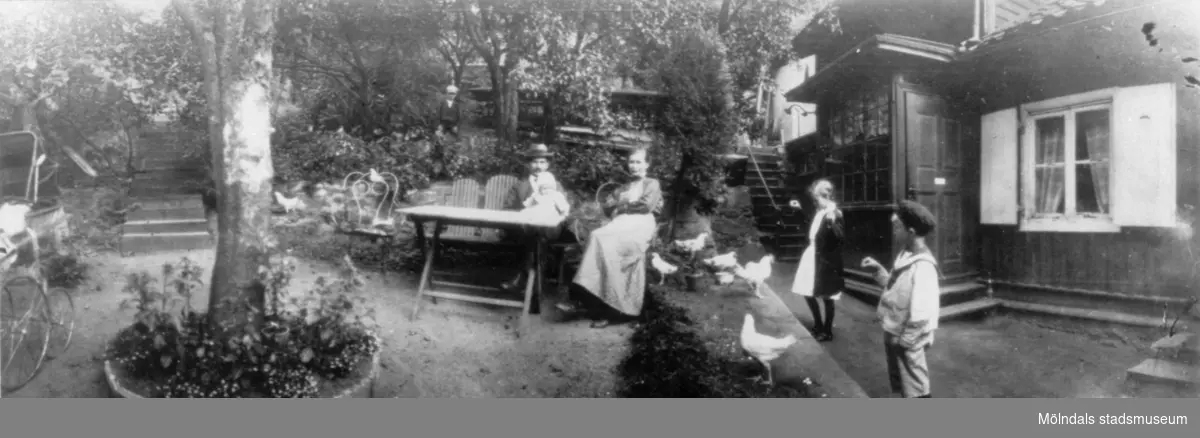 Familjen Westerberg i trädgården med sina hönor. Forsåkersgatan 57, 1900-1920-tal.
