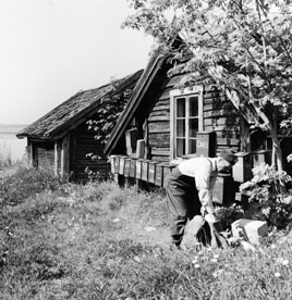 Brevlådsamling vid Östra Lagnö. Lantbrevbärare (cyklande) Sven Eriksson, från Ljusterö, under brevbäringstur mellan Västra Lagnö till Lagnö Ö (c:a 7 km).