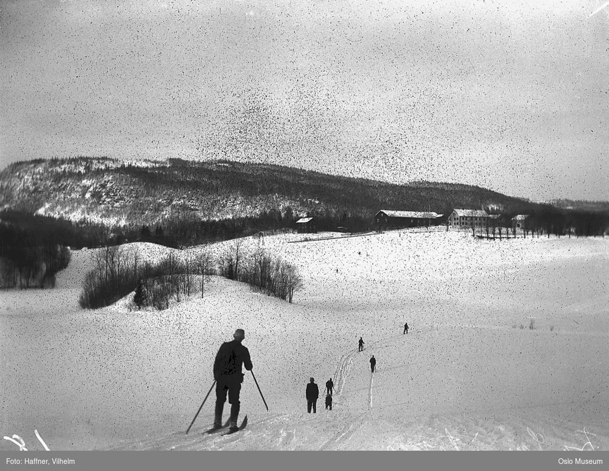 kulturlandskap, snø, skiløpere, gård, skog