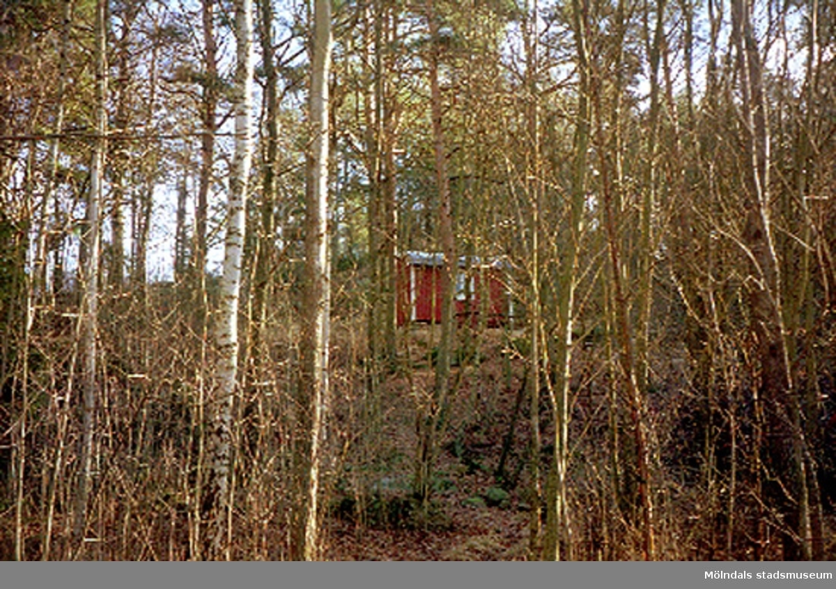 Fritidshus med skog runt omkring. Annestorp 1:17, Annestorp i Lindome februari 1995. Rivet 1995. Relaterade motiv: 2004_1252 - 1253.