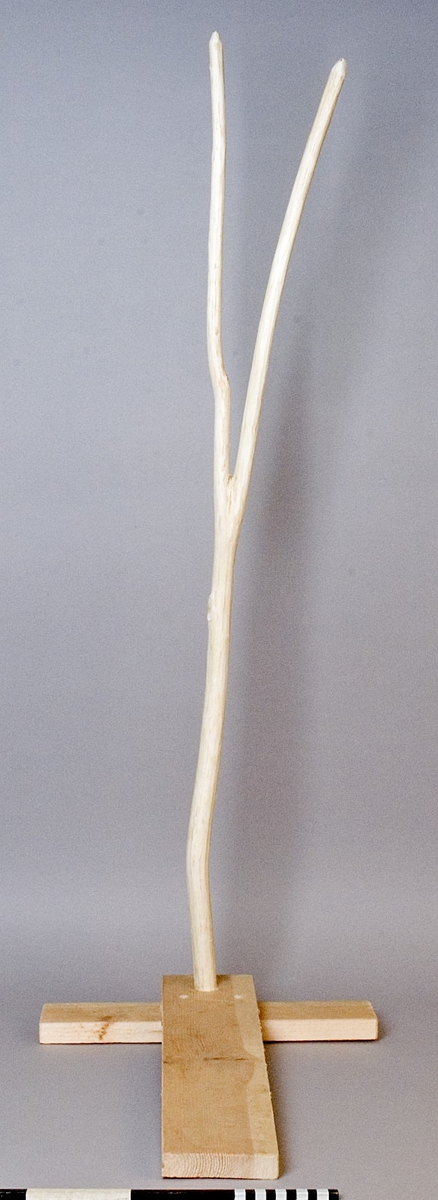 Nättjuga, tillverkad av en självväxt ung trädstam, som fästs i ett T-format fotstöd. Nättjugan används som mothåll vid tillverkning och lagning av nät samt förvaring av nät under tillverkning.