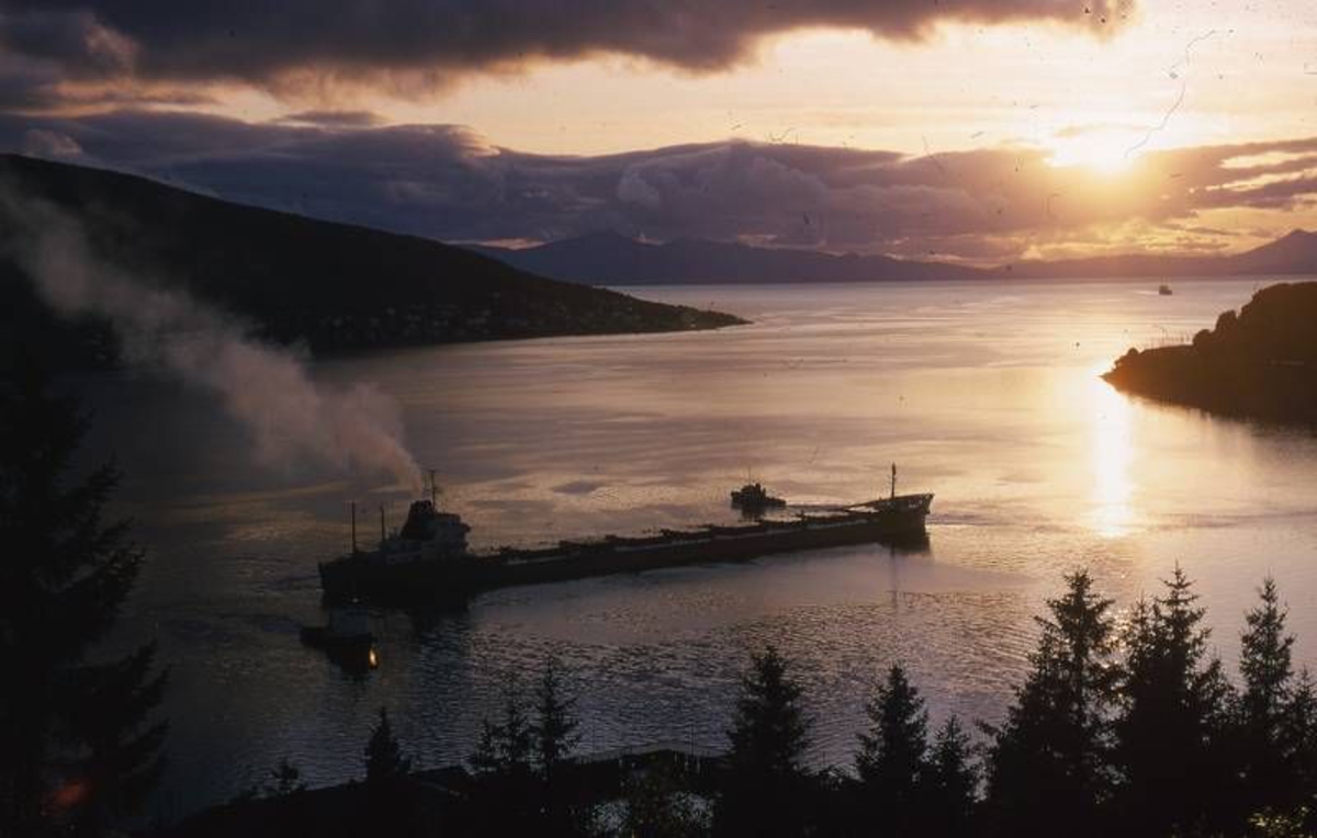 To slepebåter bukserer lastet malmbåt på Narvik Havn.