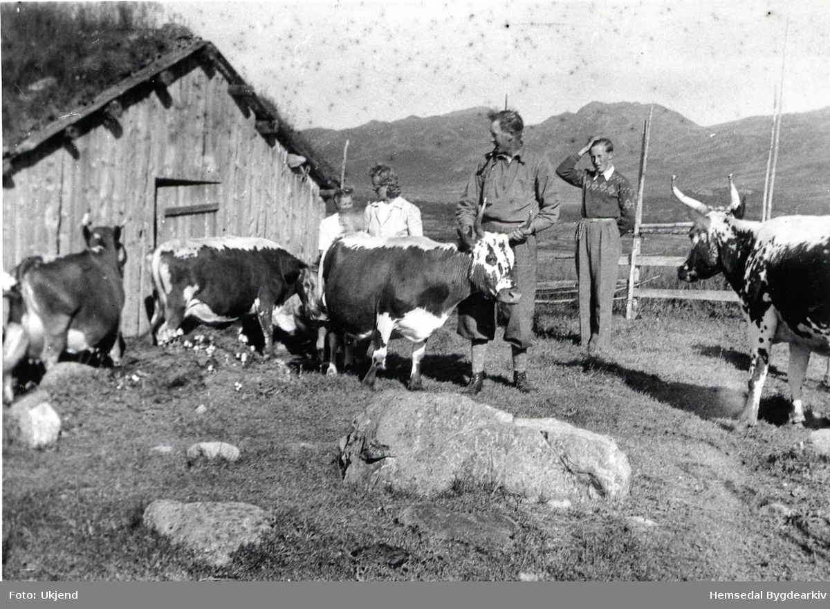 Biletet er tek på Halso, ca. 1947. 89/7 
Frå venstre: Margit og Gudrun Helga Løvehaug, Magnhild Løvehaug, fødd Ausen, Olav Løvehaug og Svein Skolt.