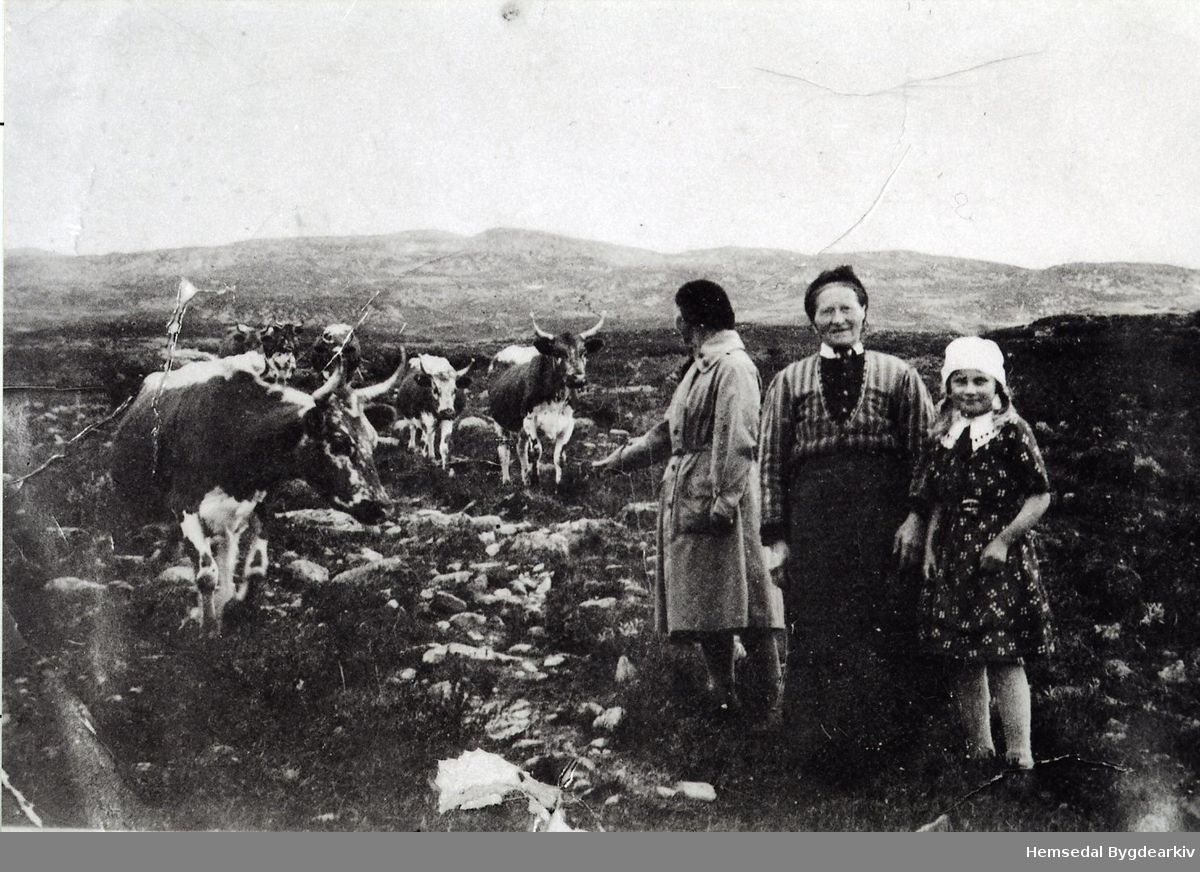 Holdeskaret i Hemsedal i 1937
Frå venstre: Fru Astrid Magnesen (bydame), Margit Fekene og Magnhild Flaget
Fotograf: Bjørn Magnesen