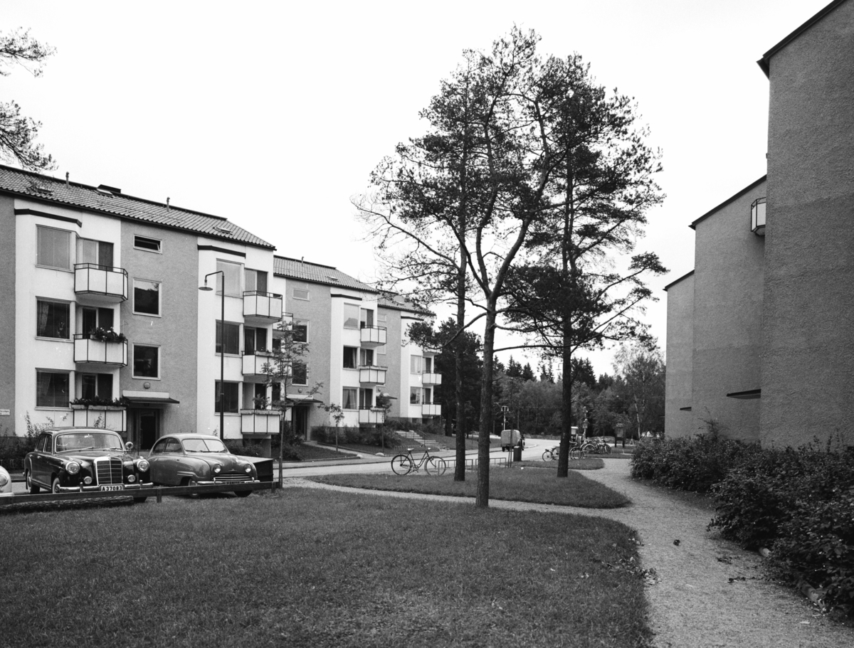 Flerbostadshus i Stureby
Exteriör, bostadsområde i Stureby, fasad mot gräsmatta