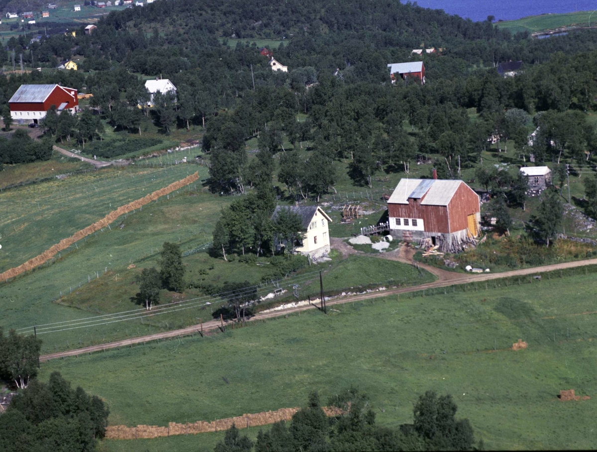 Flyfoto av noen hus og gårder ved skog og vei i Brokvik.
