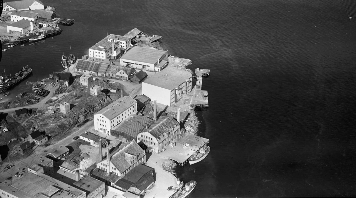Flyfoto av Chr. Bjellands hermetikkfabrikk på Hamnneset, i Harstad.