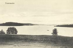 Oversiktsbilde av Tunevannet.