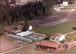 tettbebyggelse,  boligområde,  gartneri, Theslo gartneri,
