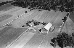 Gården Ruud i Eidsberg, flyfoto 4. august  1951.