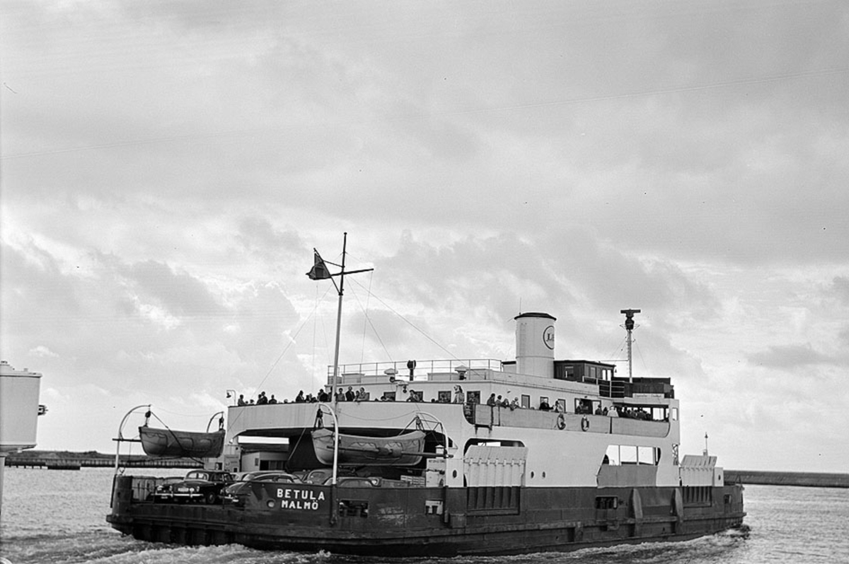 Fartyg: BETULA                        
Bredd över allt 15,4 meter
Längd över allt 44,2 (pp) meter
Reg. Nr.: 9488
Rederi: Linjebuss Internationell AB
Byggår: 1929
Varv: Caledon S&E (UK)
Övrigt: Byggd för THE MAYOR, ALDERMAN & BURGESSES,England. S/S PERCH ROCK.
Såld 1953 till SVENSKA SOCKERFABRIKS AB, Malmö. S/S BETULA.
Fartyget byggdes om för att anpassas till transport av sockerbetor melan Bergkvara-Mörbylånga. Däcket försågs med järnvägsräls
T/C 1954 på 10 år till Skandinavisk Linietrafik, Danmark. Tanken var att fartyget skulle sättas i trafik över Stora Bält
Fartyget fungerade inte på traden som man tänkt varför charterkontraktet sades upp.
T/C 1955 till Linjebuss Internationell AB( SVEA). Insatt på den nya leden Helsingborg-Helsingör.
Såld 1959 till LINJEBUSS INTER. (SVEA), Hälsingborg.
Omdöpt 1968 till S/S BETULA I.
Såld 1971 till SKÅNSKA CEMENTGJUTERIET, Malmö.
Fartyget byggdes om till pråm/pålfartyg med namnet BASTIAN.
All överbyggnad skars bort. Kommandobryggan togs dock tillvara och återfinns i Råå som klubblokal.