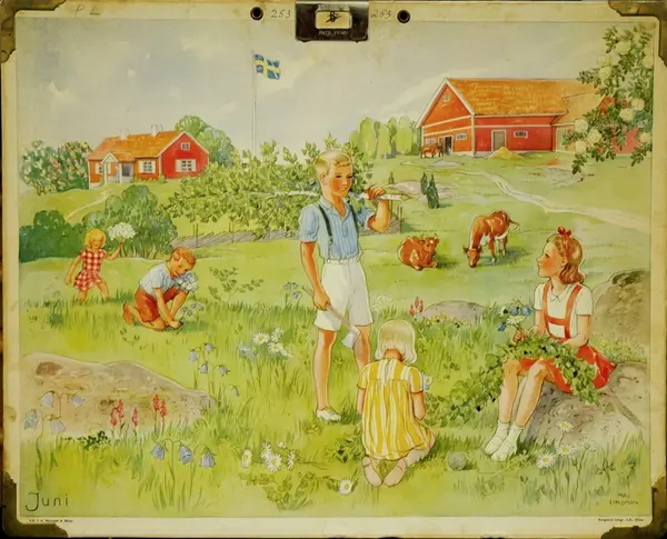 Skoleplansjenes historie