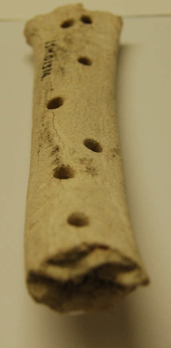 Skinnedel av kvalbein til bruk under meier på sleder. Gjenstanden har hull for festing til tremeien, anten med beinnagler eller reimer. 