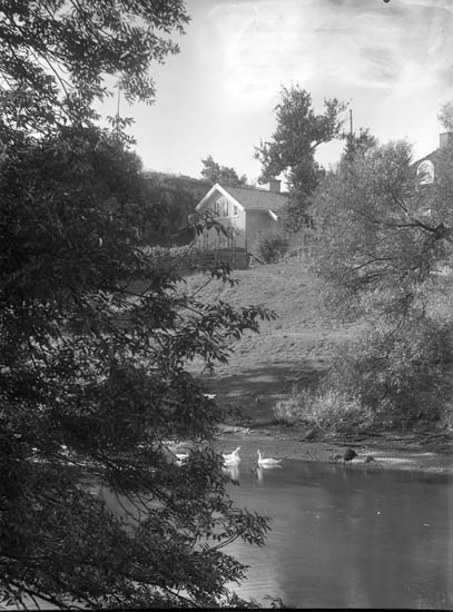 Bilden är tagen från Hasselbacken mot Dyrehaven, Husen på andra sidan Bäveån ligger på Jörgens gränd