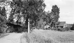 Sandås ved Sognsvann.