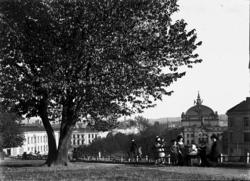 park, benker, mennesker, barnevogn, utsikt, Nationaltheatret