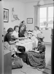 Kaffeselskap på Sogn-hybel, juni 1953.