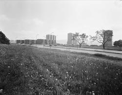 blokkbebyggelse, boligblokker, vei, biler, gatebelysning