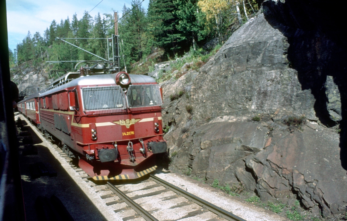 Ekspresstog fra Bergen til Oslo krysser dagtoget til Bergen i Ørgenvika. Lokomotiv type El 14.