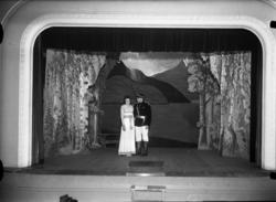 Teater/ forestilling, skuespill