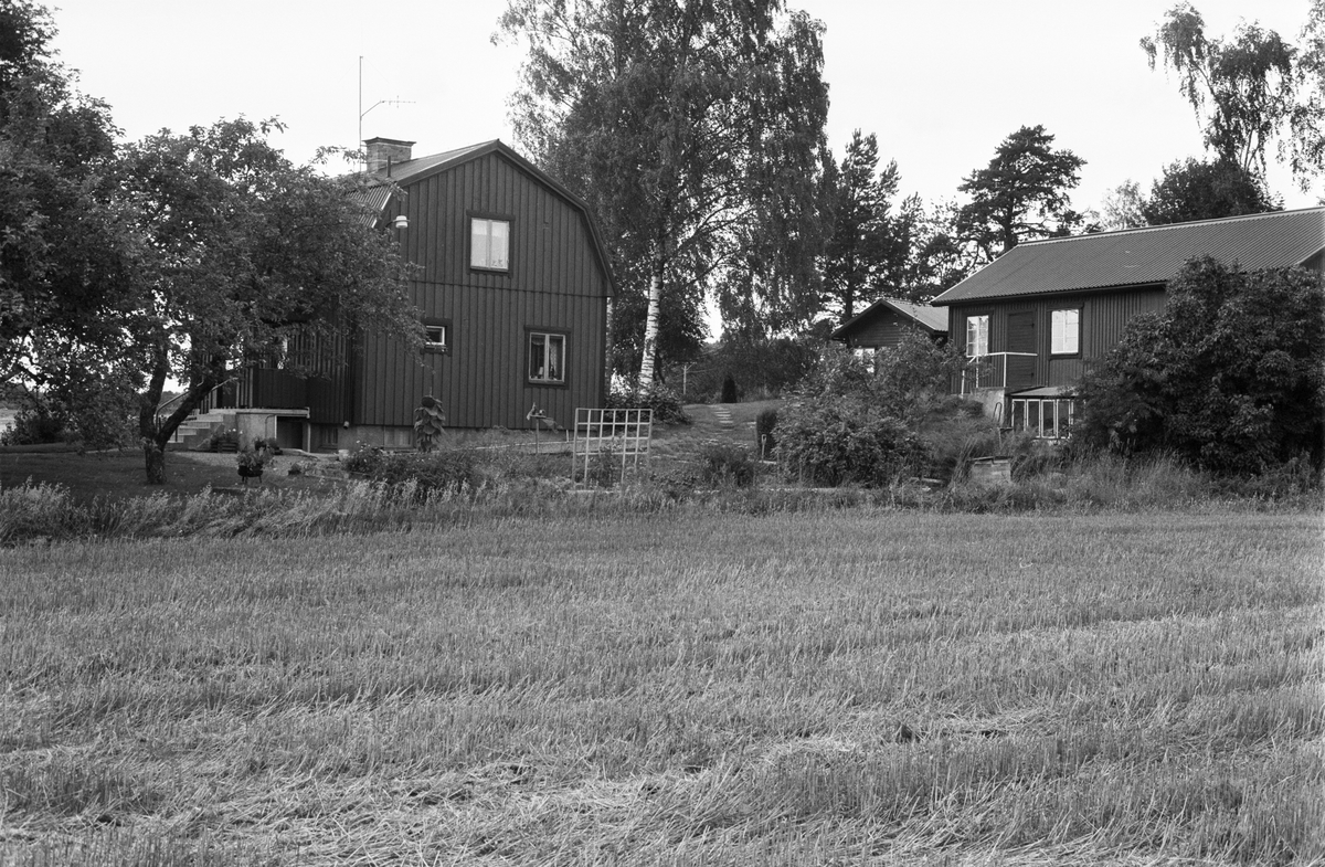 Vy över Joneberg, Västerberga 3:6, Rasbo socken, Uppland 1982