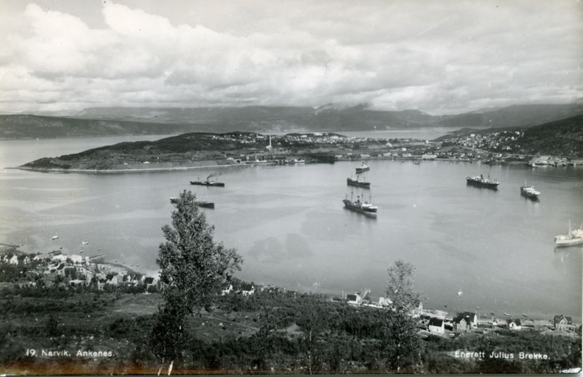 Narvik.  Malmbåter.