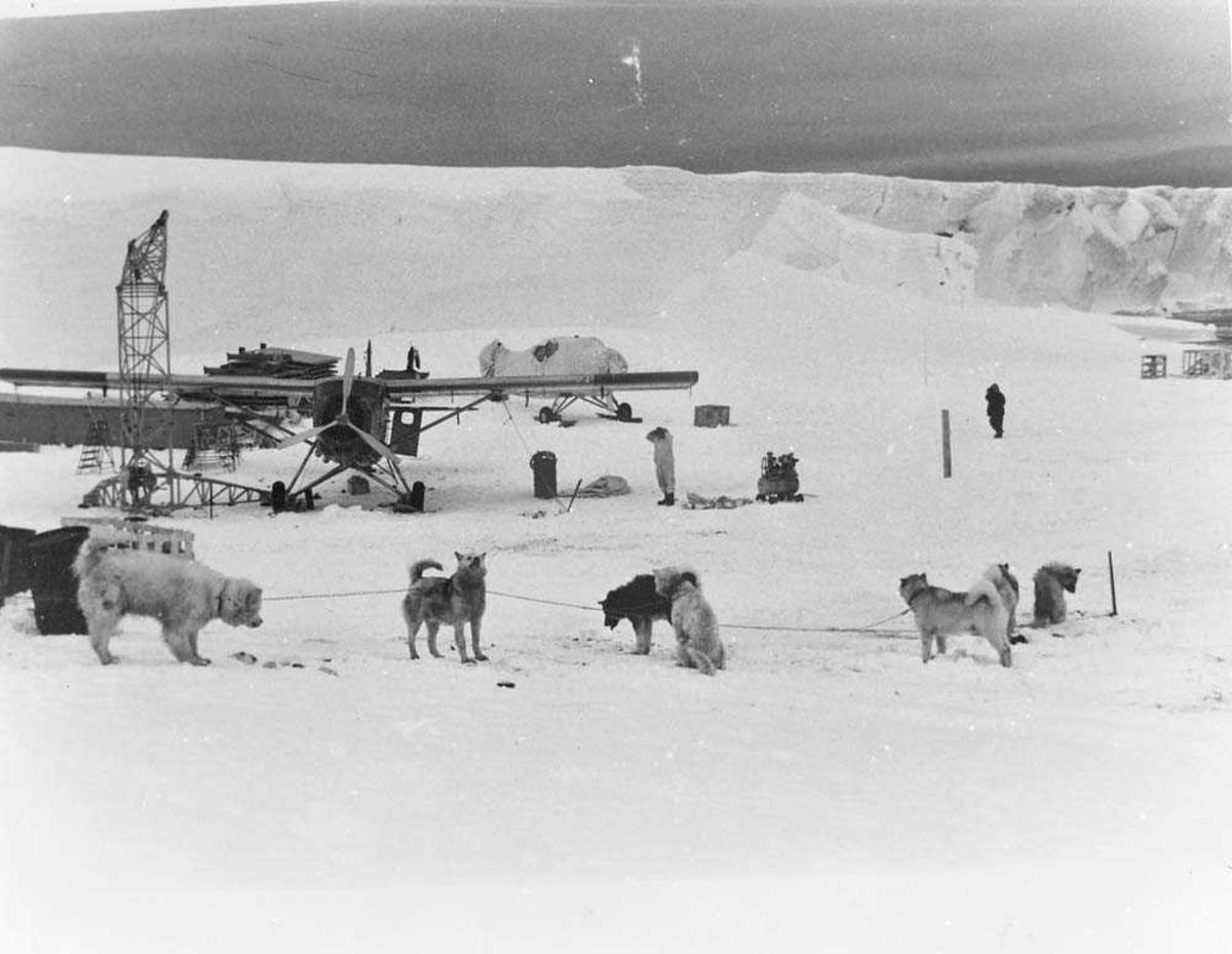 Operasjon "Pingvin" i Antarktis ekspedisjonen i 1958. 