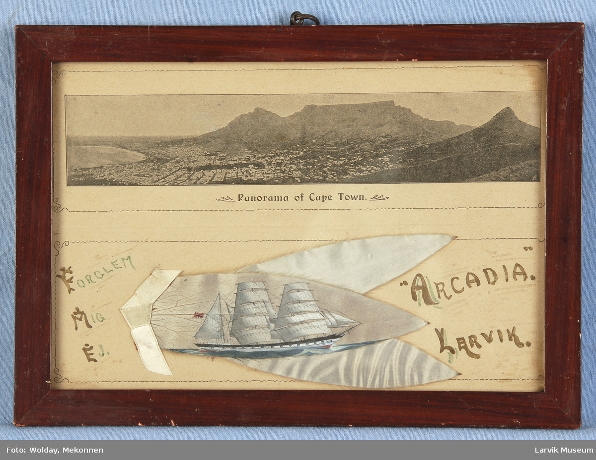 Arcadia av Larvik malt på et sølvblad, også kalt Kapp-blad eller silverleaf. Tre slike blader samlet, med panorama over Cape Town over. Bilde i glass og ramme.
