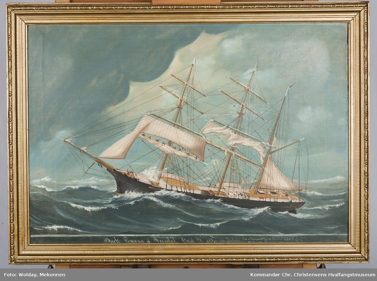 Bark Pomona av Arendal, Capt. K. J. Ommundsen