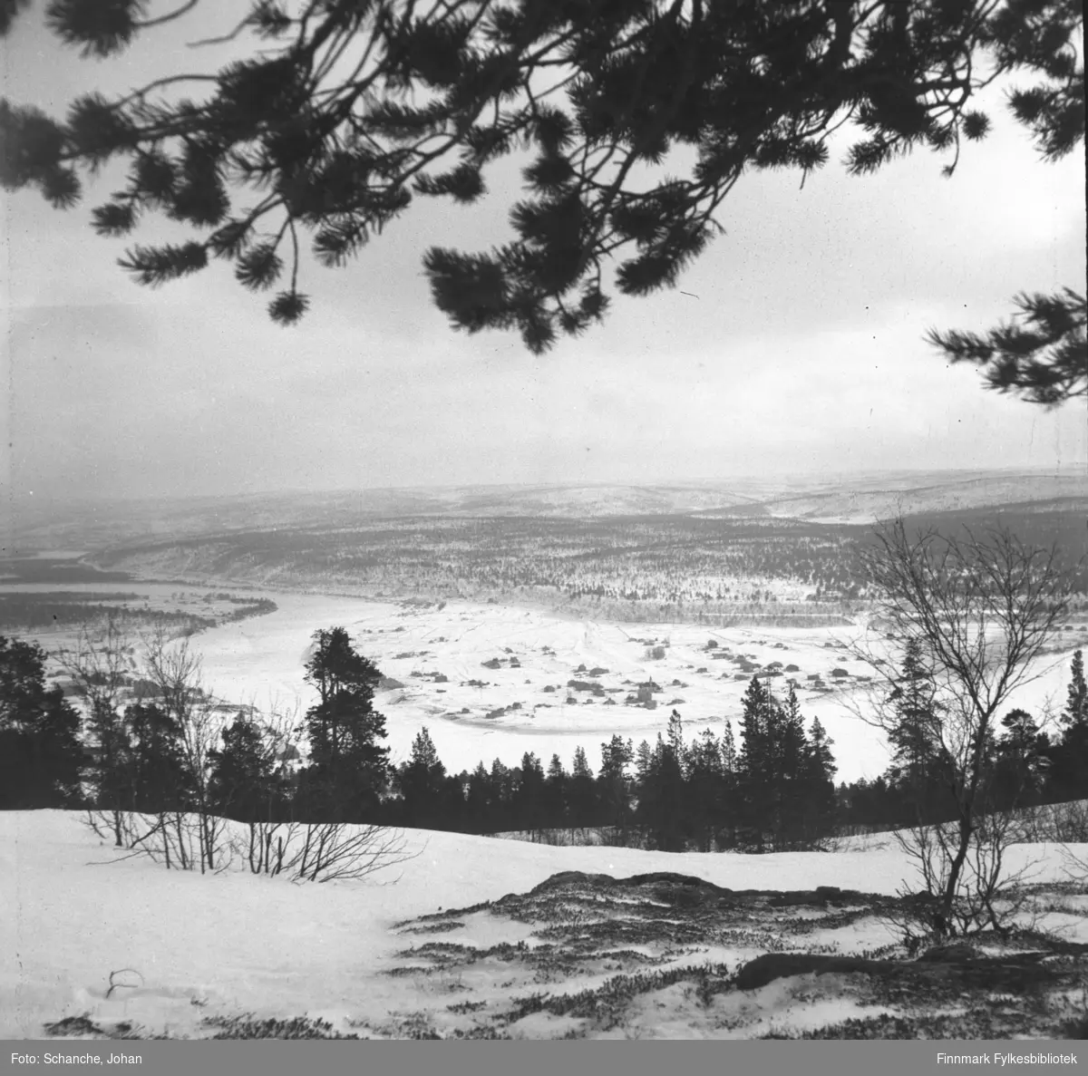 Oversiktsbilder over Karasjok tatt fra fjellet ned mot bygda i dalen. Fotografen har stått under en stor furu, furugrein henger over landskapet på bildet.