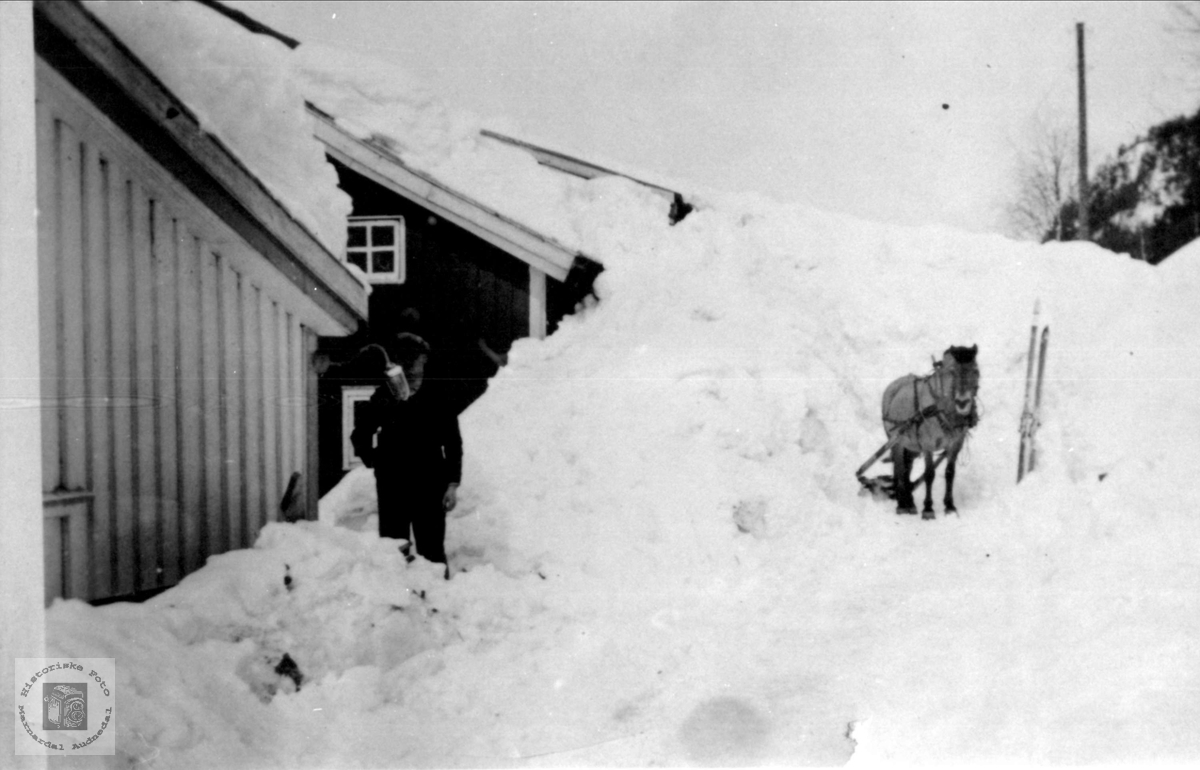 Snøvinter på Høye