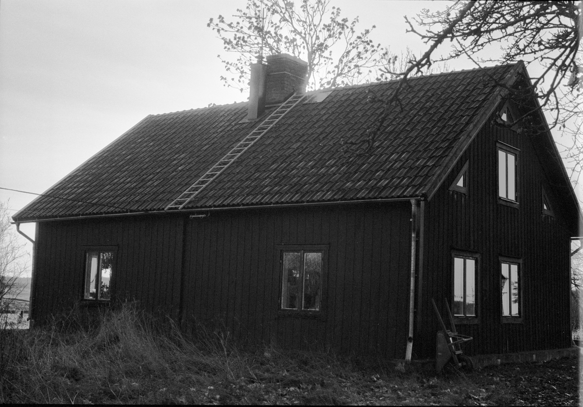 Linbastu, Skogstibble S:1, Skrikbacken, Skogs-Tibble socken, Uppland 1985