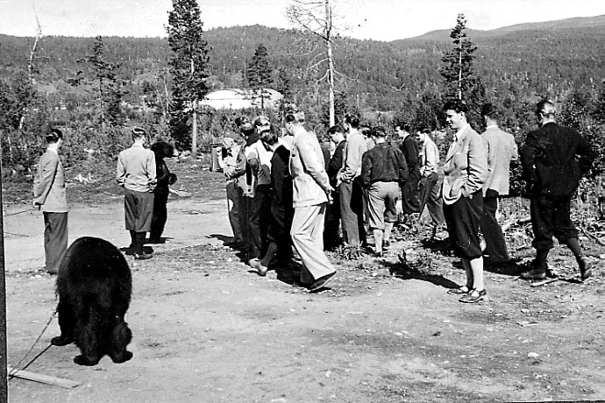 Gruppeportrett, flere personer står og studerer en levende bjørner.
