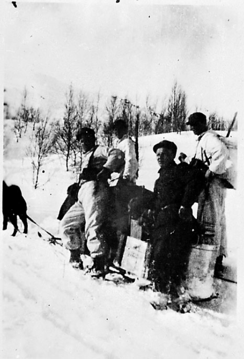 Hundespann, noen personer står ved hundesleden, noe utstyr. Narvik under 2. verdenskrig.