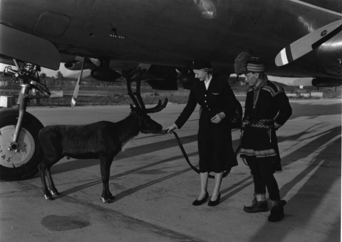 Lufthavn, 1 fly på bakken DC-6B, LN-LMF "Agne Viking" fra SAS. 2 personer ved flyet