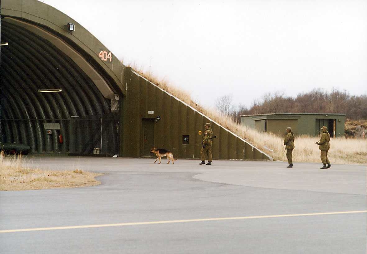 Gruppe. Tre personer i uniform med hund foran en flybunker.