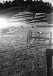 Siste gang bakkene på Skjævesland blei hesja