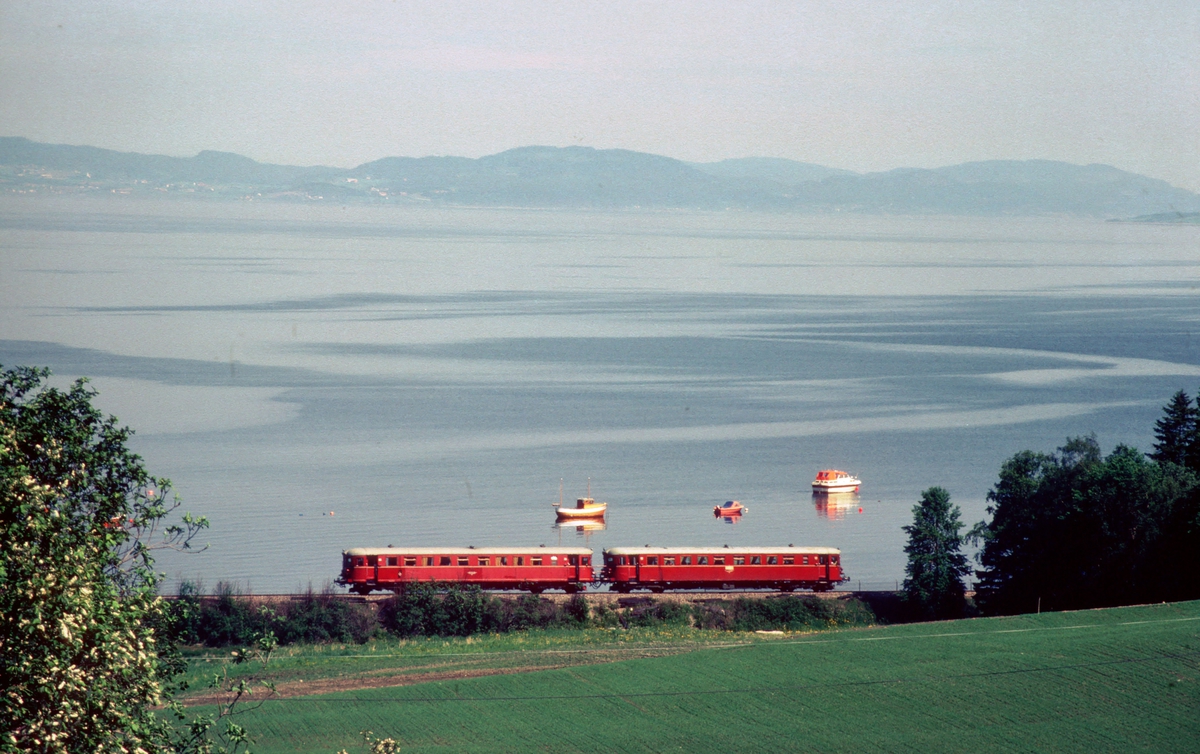 Persontog med NSB dieselmotorvognsett type 86 langs Trondheimsfjorden ved Vikhamar.