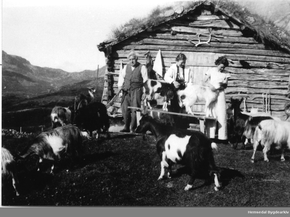Hydalen i Hemsedal, ca. 1935
Til venstre: Eirik O. Wøllo
Til høgre: Signe Wøllo ved Dokkbua