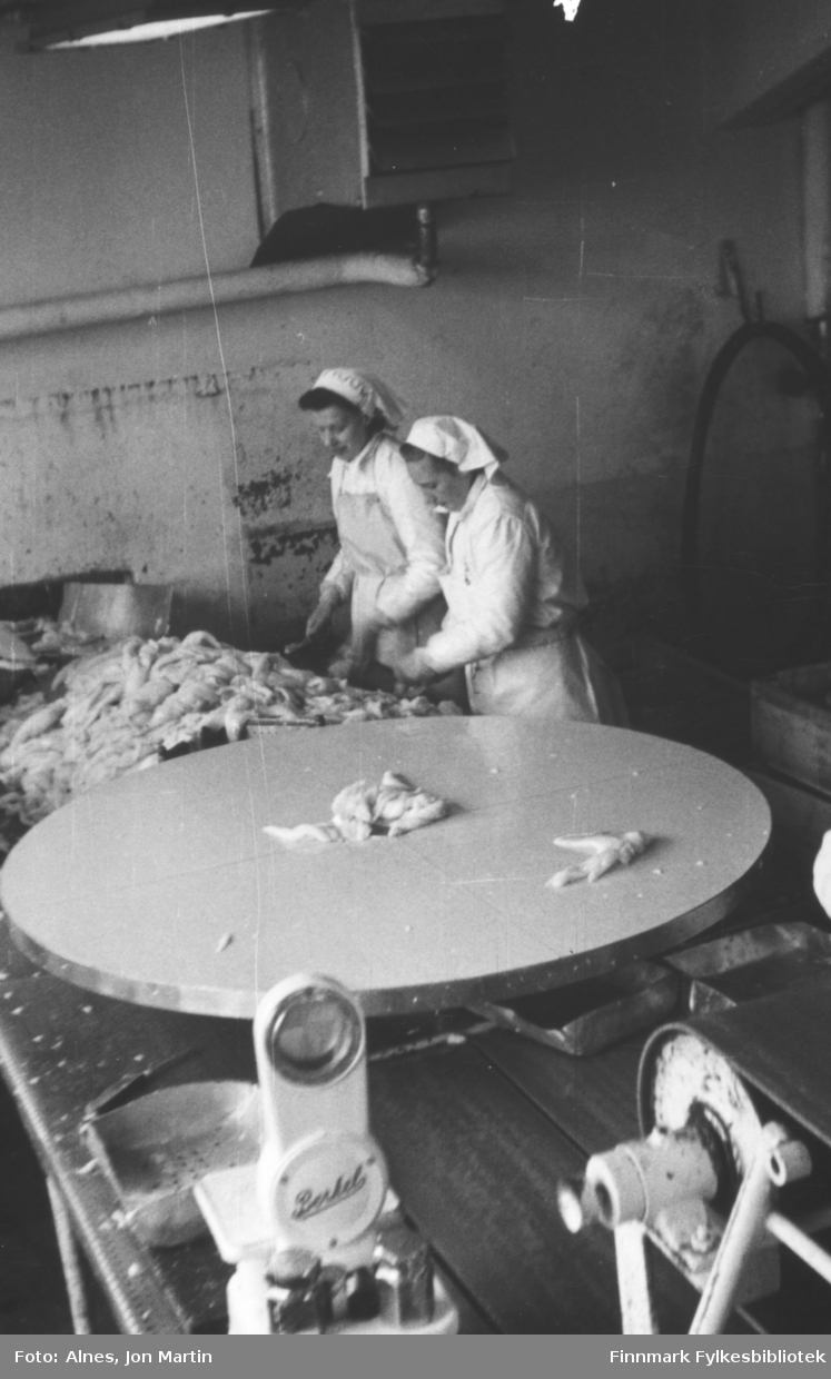 Filetpakkere ved fabrikken i Bergsfjord i 1953