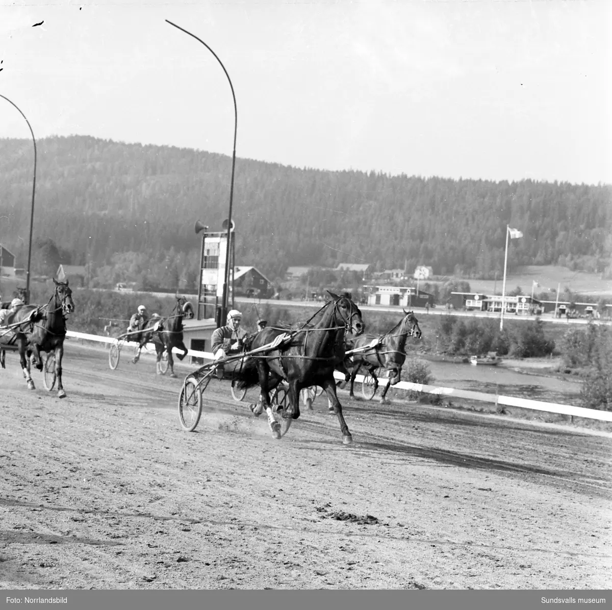 Travtävlingar med Bergsåkers stora varmblodslopp som vanns av Panco med Rune Hultgren i sulkyn (bild 3). På första bilden ses hästens ägarinna Kerstin Hultgren.