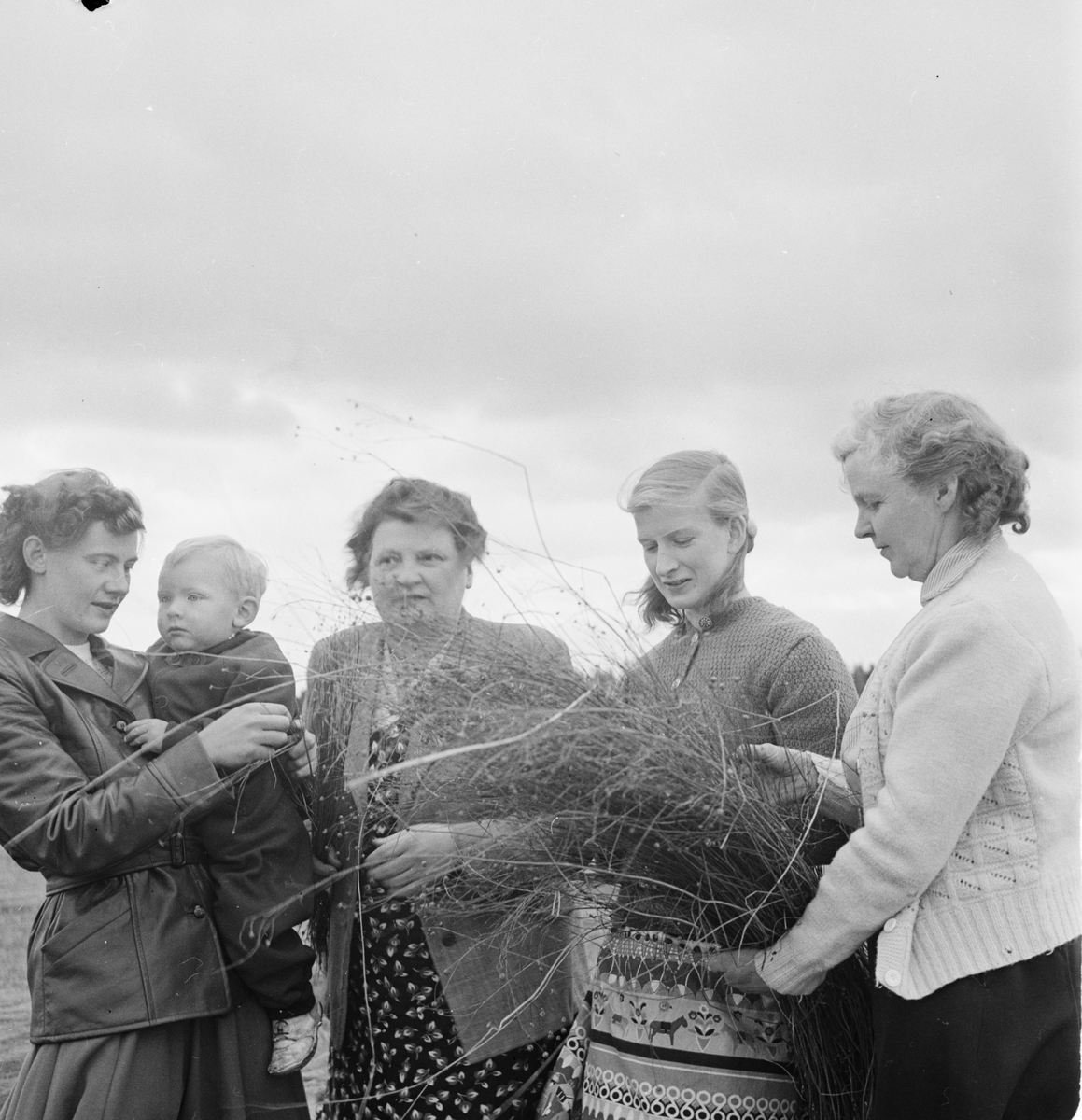 Astrid och Peter Alfvén, Astrid Andersson, Marietta Rasto och Ruth Larsson med lin som odlats i Götbrunna