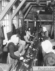 Arbeidende Kvinner Skjeiderhus Sandnes