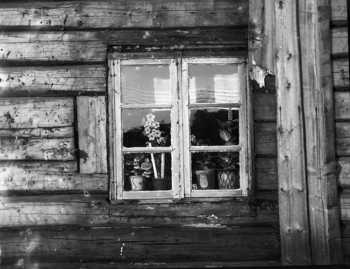 Ett fönster i stugan före restaureringen.  Gäserud  Håbol