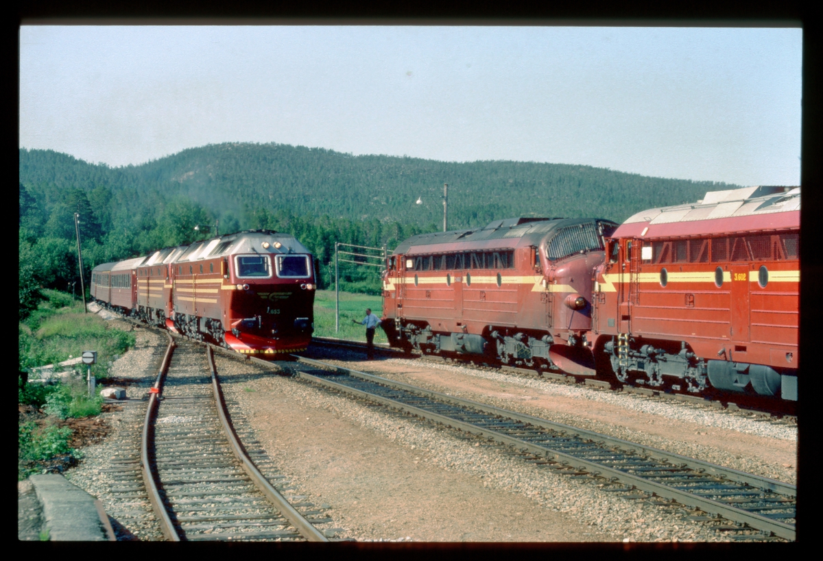 Kryssing i Valøy stasjon mellom hurtigtog 451 til Bodø, og godstog 5794 til Trondheim. Hurtigtoget har to lokomotiver type Di 4 og godstoget har to lokomotiver type Di 3. Føreren i 5794 hilser.