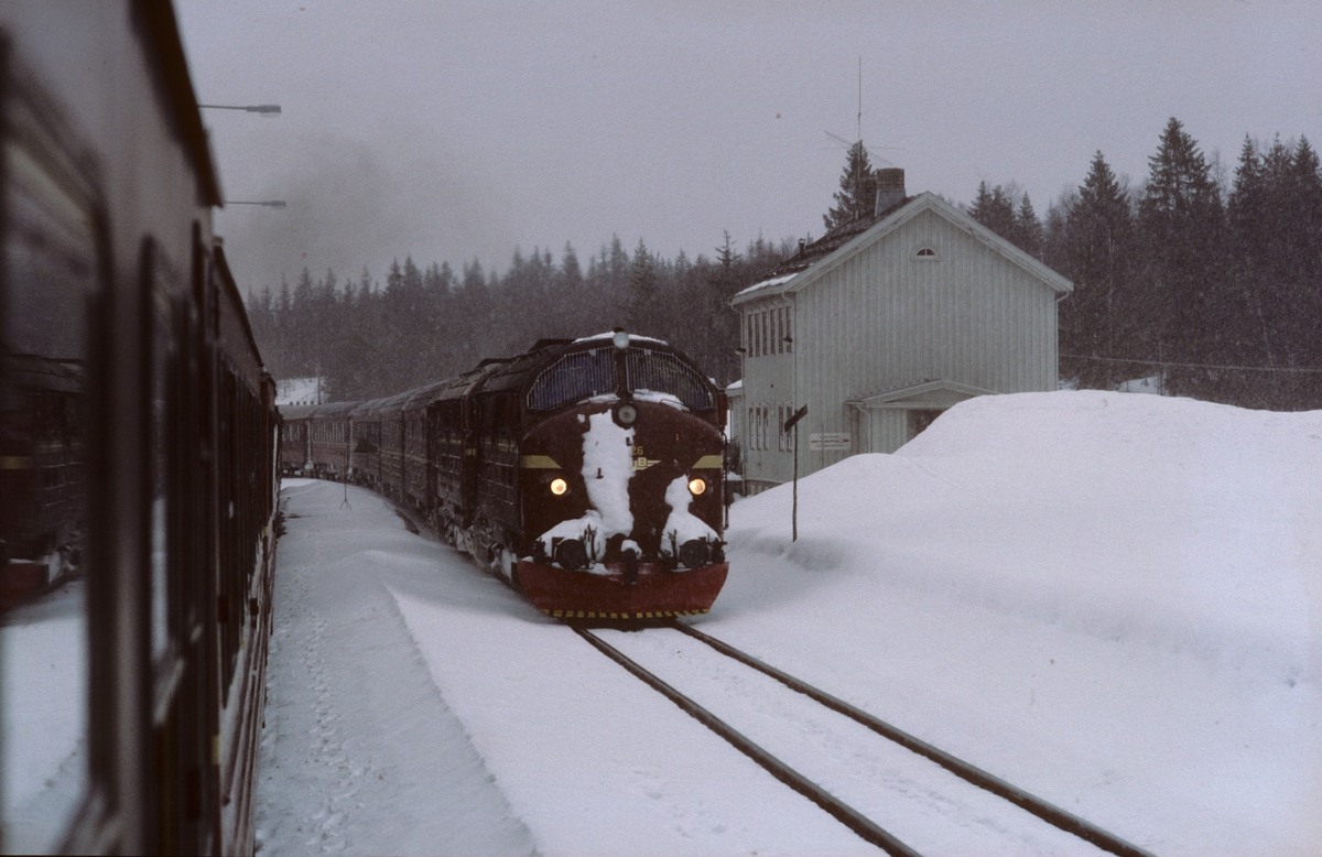 Kryssing i Drevja stasjon mellom togene 451 (Bodø) og 452 (Trondheim).