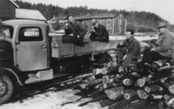 Vedtransport ved Orkla Grube-AB.