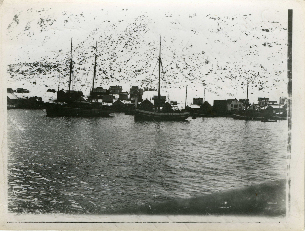 Fiske- og fraktebåter på Senja