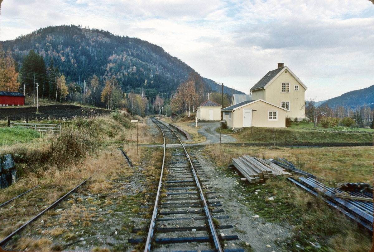 Eidstryken holdeplass, tidligere stoppested, Numedalsbanen. Numedal. Bildet er tatt fra førerrommet i tog til Rødberg.